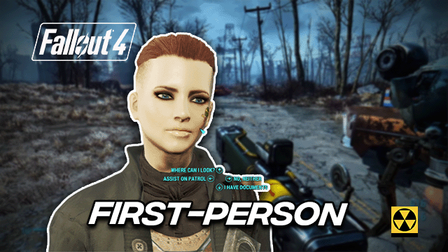 Fallout 4 Immersive First Person Shadow & Body Settings