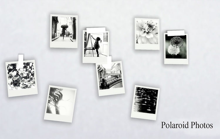 Polaroid photos