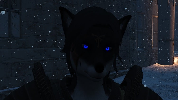 Vulpine Race Glowing Eyes