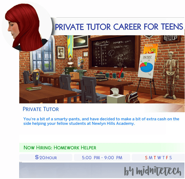 Private tutor