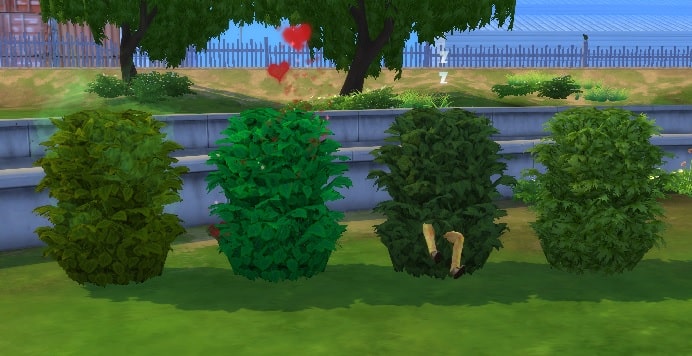 Simple interactive bushes