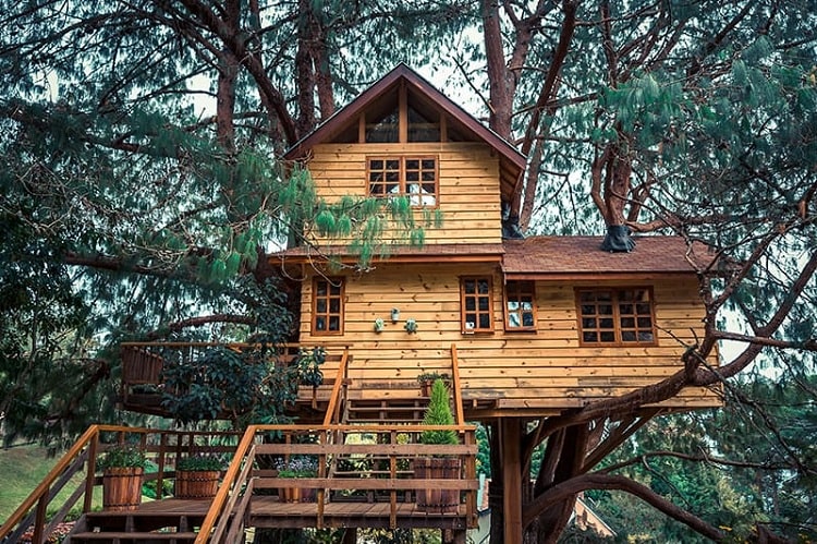 A Treehouse