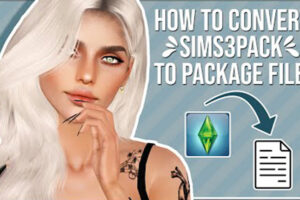 Sims 3 Multipack Installer & Package