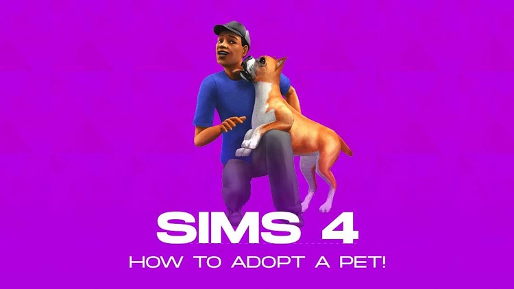 Adopt a Pet with Cheats