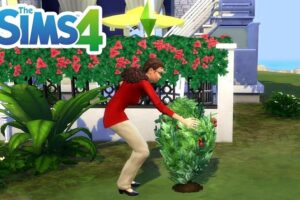 How to Get Strawberries in Sims 4?