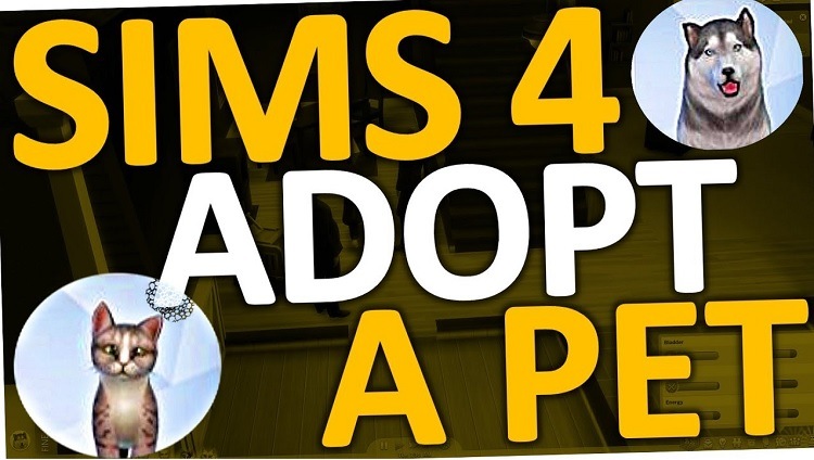 Sims 4 Adopt a Pet