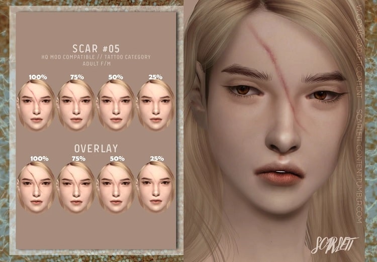  Scar #05