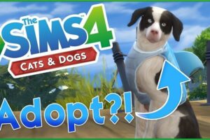 Sims 4 Adopt a Pet