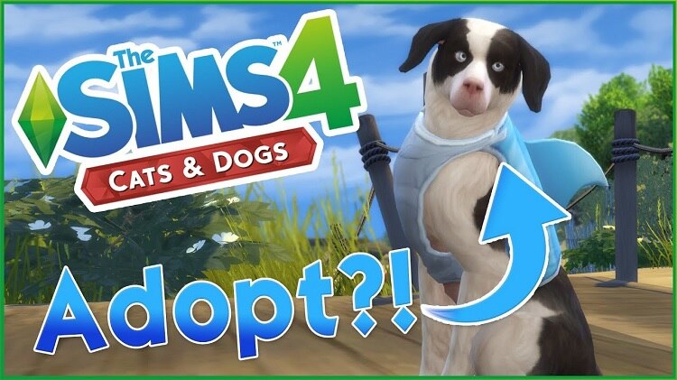 Sims 4 Adopt a Pet