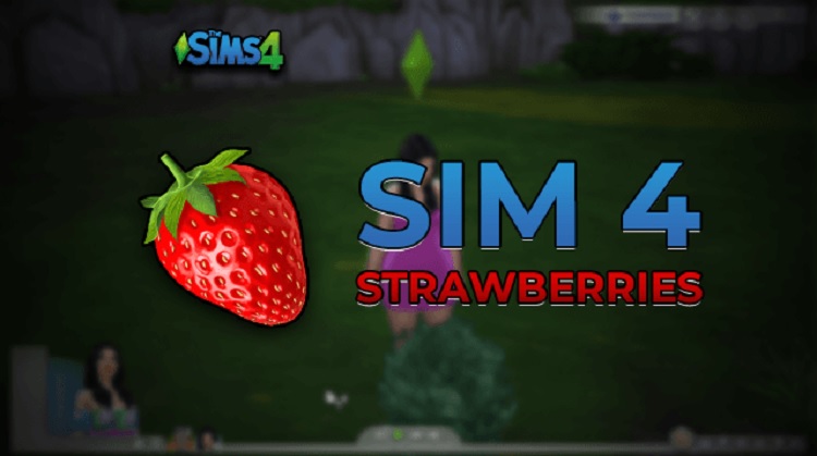 How to Get Strawberries in Sims 4