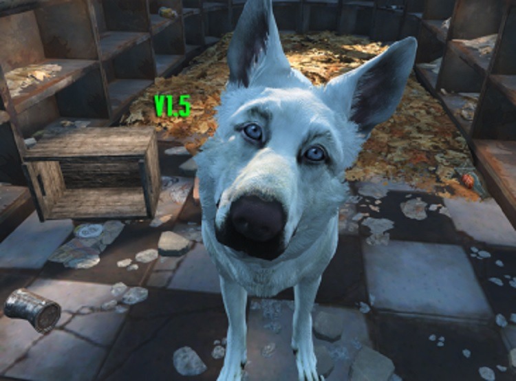 Ghost White Dogmeat