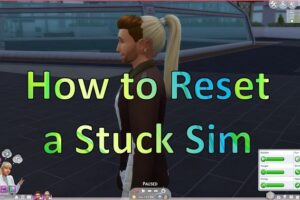 How to Reset a Sim in Sims 4?