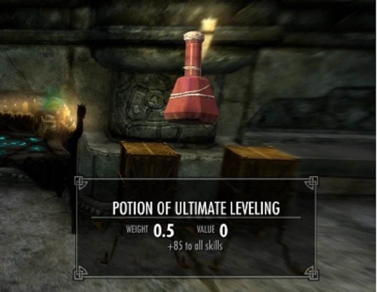 Potion of Ultimate Leveling