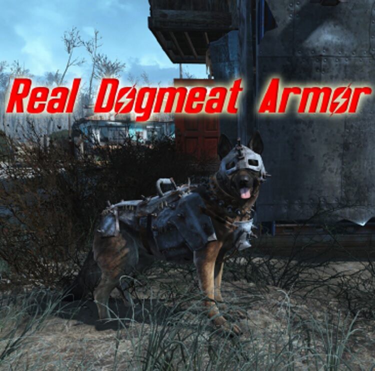 Real Dogmeat Armor