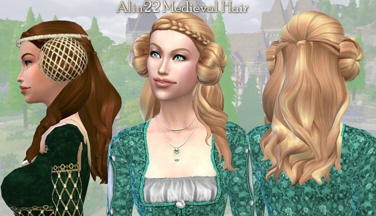 Medieval Long Hair With Buns