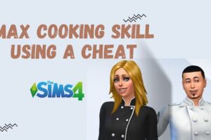 Sims 4 Cooking Cheats