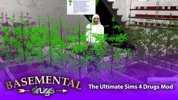 Sims 4 Weed Edition