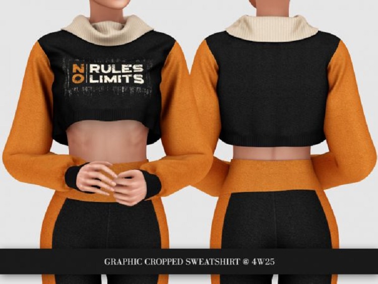 Graphic Cropped Sweatshirt