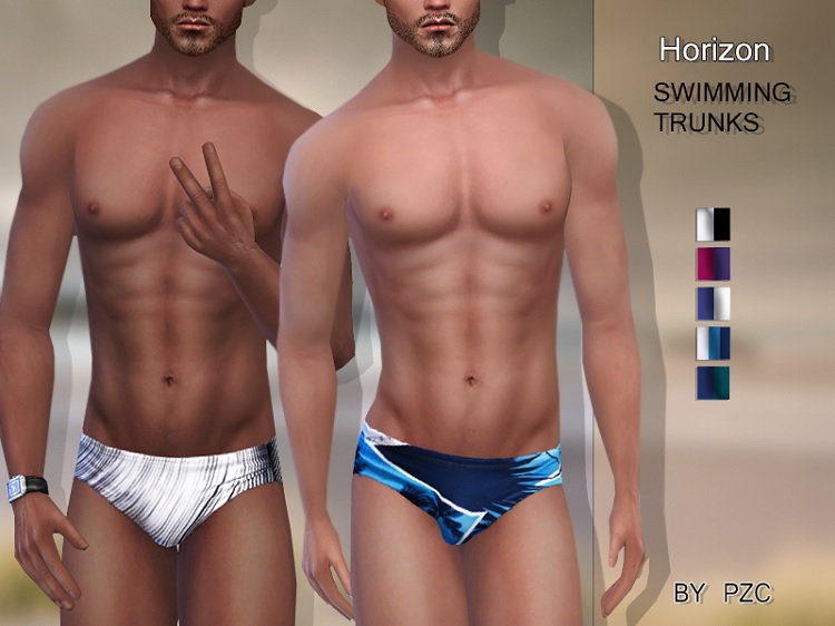 Horizon Swimming Trunks