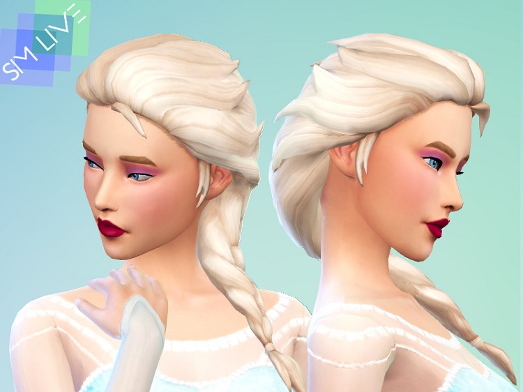 Elsa Braided Hair