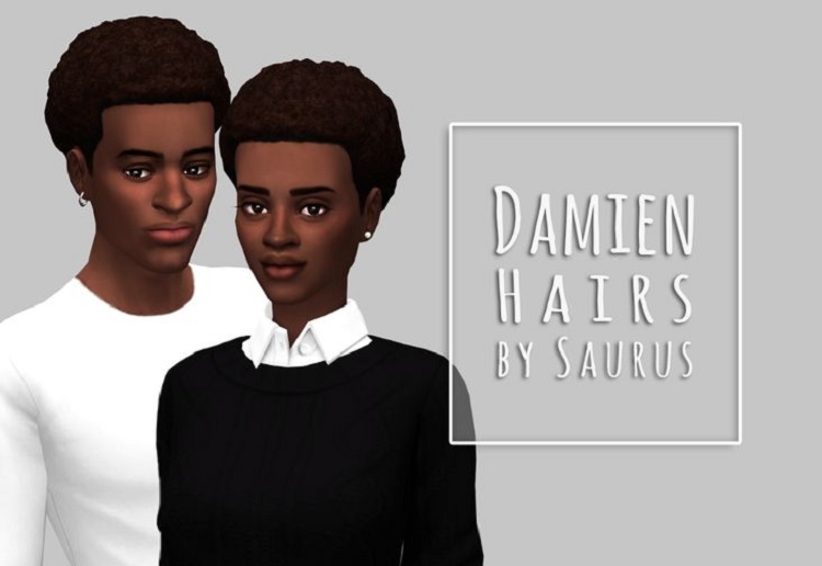 Damien Hairs - Sims 4 Afro