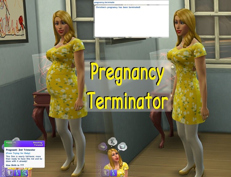 Termination of Pregnancy