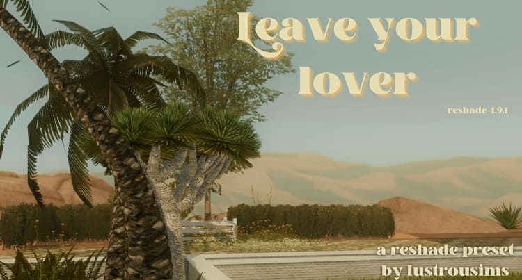 Leave Your Lover by Lustrousims