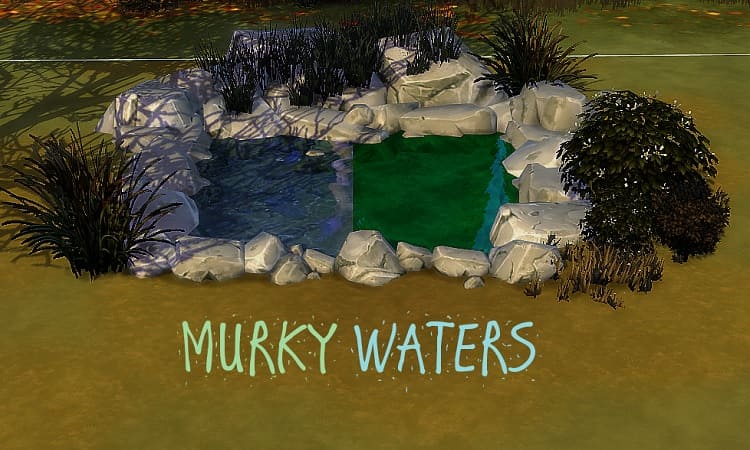 Murky Waters-Natural Ponds