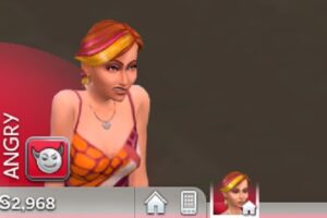 Sims 4 Angry Cheat