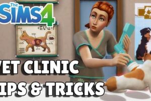 Sims 4 Vet Clinic Cheats