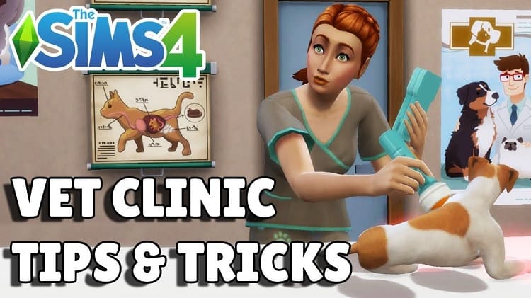 Sims 4 Vet Clinic Cheats