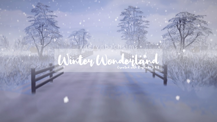 Winter Wonderland by Aderyn Bach Sims